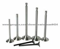 Exhaust Valve