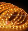 500cm 30LEDs/M Waterproof 5050 LED Strip Light(EFY-5050SMD-500-150-TG-Y)