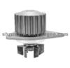 CITROEN AUTO MOBILE PUMP 120147