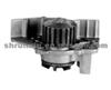 CITROEN AUTO MOBILE PUMP 120198