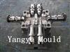 Plastic Pipe Fitting Mould