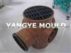 PVC Fittings Mould