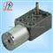 DS-46SW370 DC Worm Gear Motor