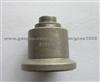 Delivery Valve 131110-5920 1311105920 A40
