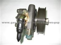 Power Steering Pump For LOBO