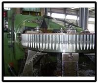 Metallurgica Rossi Slewing Bearing