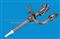 Pencil Nozzle, Injector 26964,26632,27336,29279,33706,33407,33705 - img1