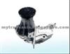 Water Pump For E0415010,1007714,1E0515010