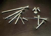 Special Nut Fish Bolt Set