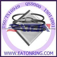 RENAULT RVI 120mm, 123mm, 135mm Piston Ring.