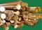 Beryllium Copper Rod (c17200, C17300, C17500, C17510, Cuco1ni1be)