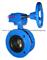 DN40-DN300 Double Flanged Concentric Butterfly Valve