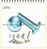 Stainless Steel Machine Screws