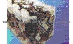 Graphite Packing With PTFE Corners