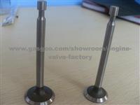 ROBIN Engine Valves EY15