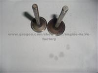 PEUGEOT Engine Valves 405