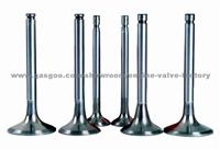 KUBOTA Engine Valves 19517-13110