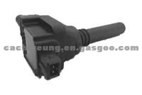 DQG1214 Dry Ignition Coil