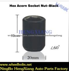 Wheel Nuts Hex Acorn Socket Nut-Black