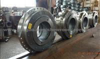 Crane Coupling with ISO9001-2000