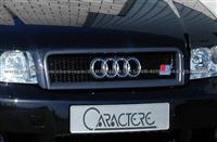 FRP Audi A4 B6 Grille