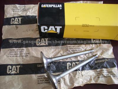 CAT Engine Valves D333C ENG:1673C D6C/D7G