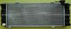 Radiator DAEWOO 17700A80D01