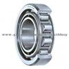 Single Row Cylindrical Roller Bearings