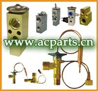 Auto AC Expansion Valves