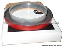 DONGFENG Crankshaft Oil Seal