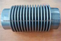 Bellow Flexible Pipe SS304