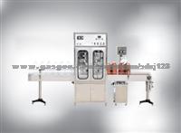 Automatic Liquid Quantitative Filling Line (Two-Headed)