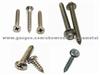 Self Tapping Screw