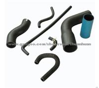 Fuel Hose And Assembly