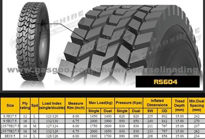 315/80R22.5 Roadshine Brand Truck Tires