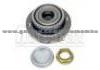 Wheel Hub Bearing AP33005