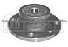 Wheel Hub Bearing AP33010