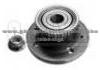 Wheel Hub Bearing AR33007