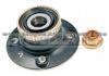 Wheel Hub Bearing AR33006