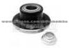 Wheel Hub Bearing AR33018