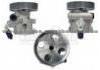 Power Steering Pump 4007.W3