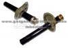 Shock Absorber  6000593307