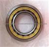 WZA Cylindrical Roller Bearing NU2203 NU2303