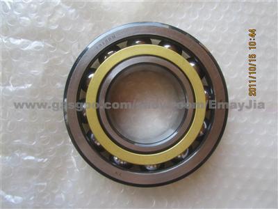 WZA Angular Contact Ball Bearing 7313BM