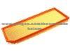 Air Filter 06F 133 843 A