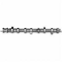 Camshaft, Suitable For Mitsubishi, OEM Orders Welcomed