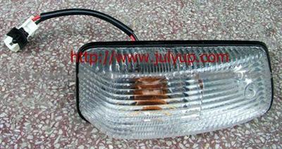 Dong Feng Dfl4251gt375 Auto Parts Door Lamp