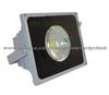 Led Flood Light F306-50W