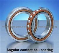 NACHI Angular Contact Ball Bearing 7202B
