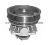 LANCIA AUTO WATER PUMP HEPU:P122